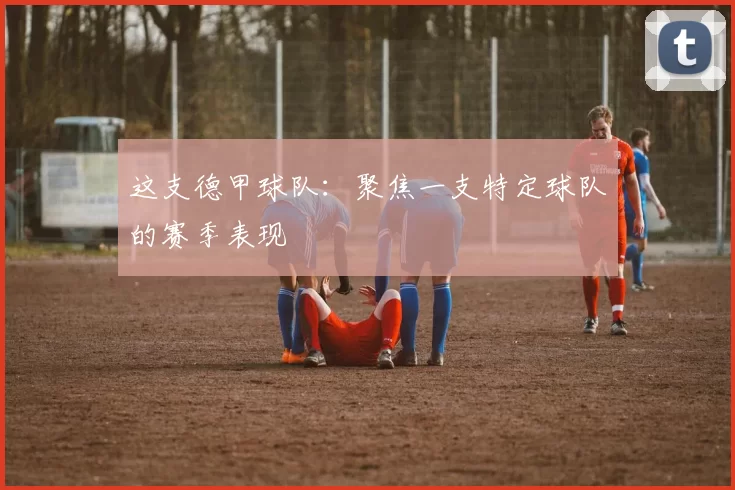 这支德甲球队：聚焦一支特定球队的赛季表现