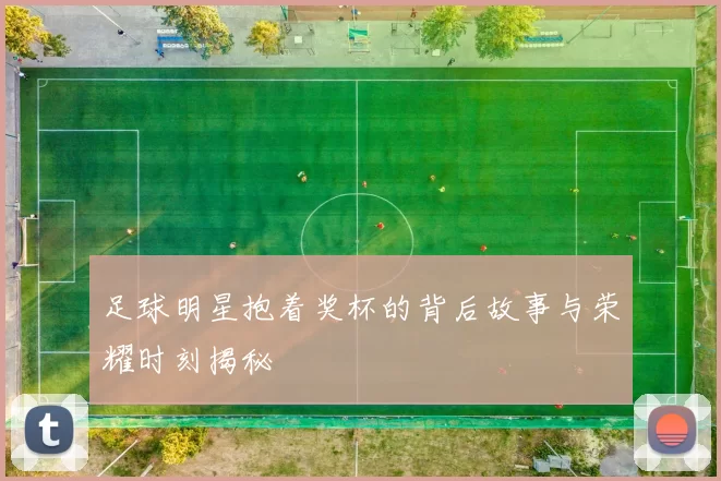 足球明星抱着奖杯的背后故事与荣耀时刻揭秘