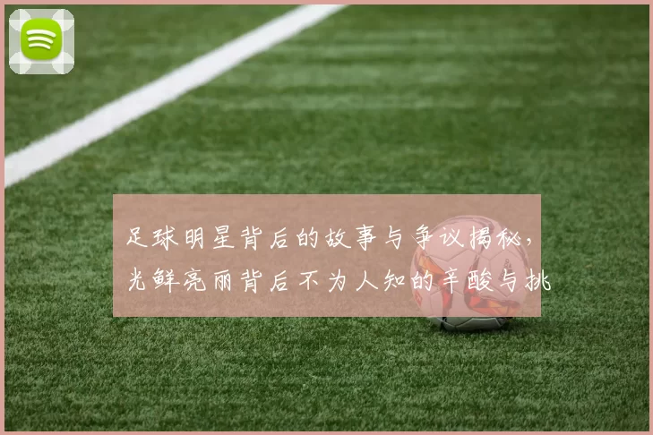 足球明星背后的故事与争议揭秘，光鲜亮丽背后不为人知的辛酸与挑战