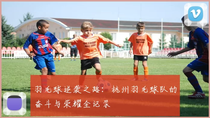 羽毛球逆袭之路：杭州羽毛球队的奋斗与荣耀全记录