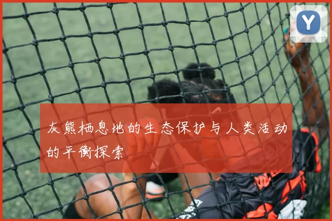 灰熊栖息地的生态保护与人类活动的平衡探索