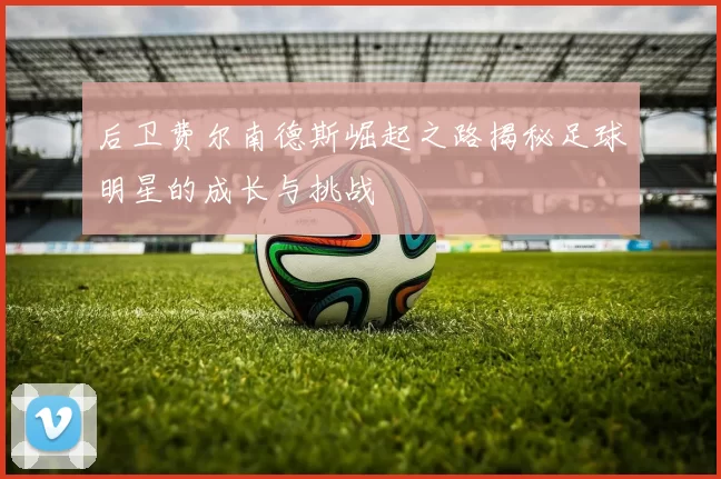 后卫费尔南德斯崛起之路揭秘足球明星的成长与挑战