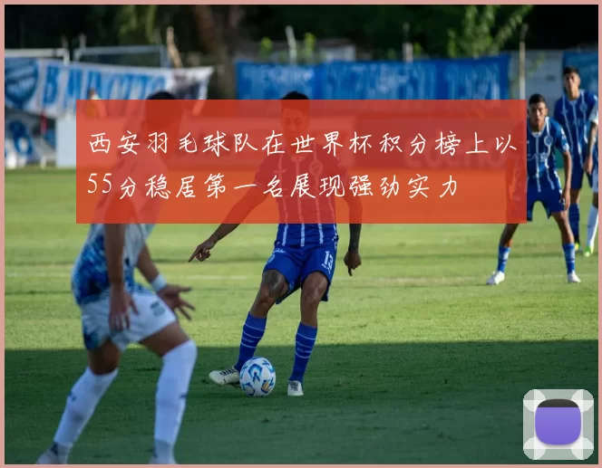 西安羽毛球队在世界杯积分榜上以55分稳居第一名展现强劲实力