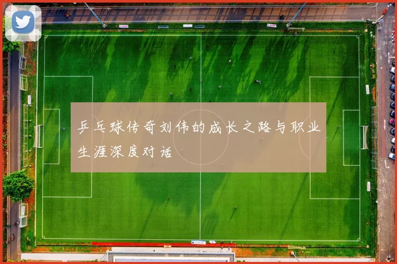 乒乓球传奇刘伟的成长之路与职业生涯深度对话
