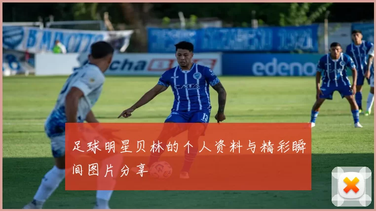 足球明星贝林的个人资料与精彩瞬间图片分享