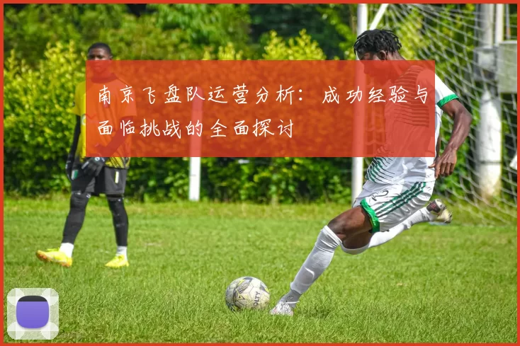 南京飞盘队运营分析：成功经验与面临挑战的全面探讨