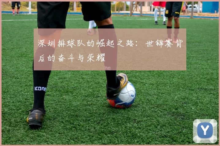 深圳排球队的崛起之路：世锦赛背后的奋斗与荣耀