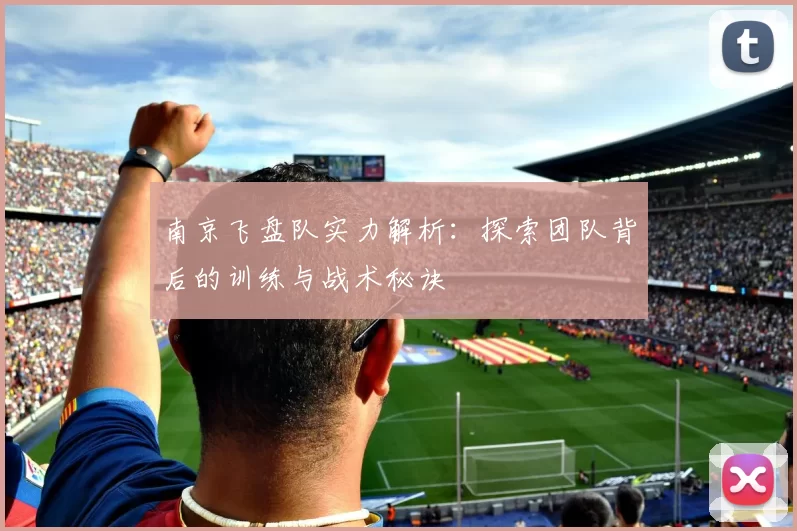 南京飞盘队实力解析：探索团队背后的训练与战术秘诀