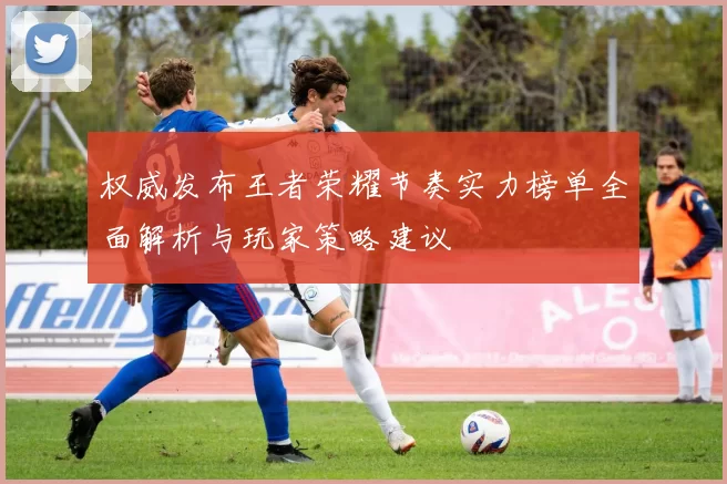 权威发布王者荣耀节奏实力榜单全面解析与玩家策略建议