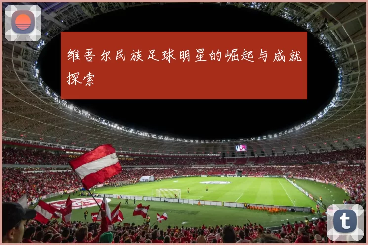 维吾尔民族足球明星的崛起与成就探索