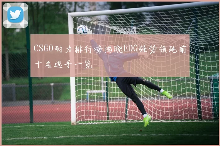 CSGO耐力排行榜揭晓EDG强势领跑前十名选手一览