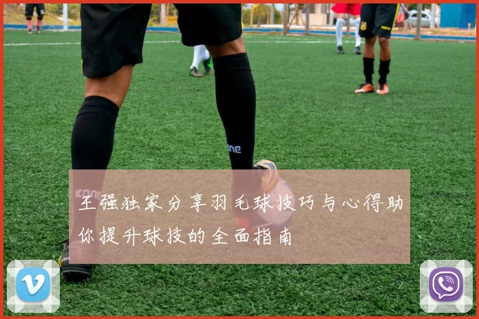 王强独家分享羽毛球技巧与心得助你提升球技的全面指南