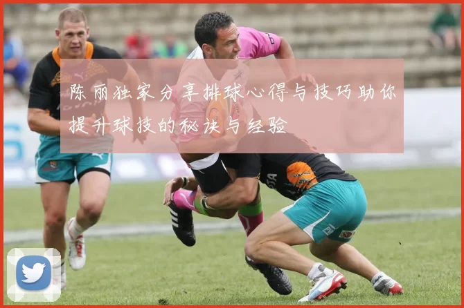 陈丽独家分享排球心得与技巧助你提升球技的秘诀与经验