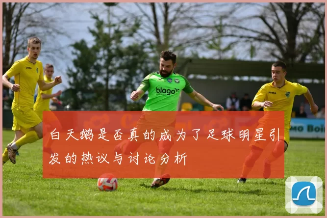 白天鹅是否真的成为了足球明星引发的热议与讨论分析
