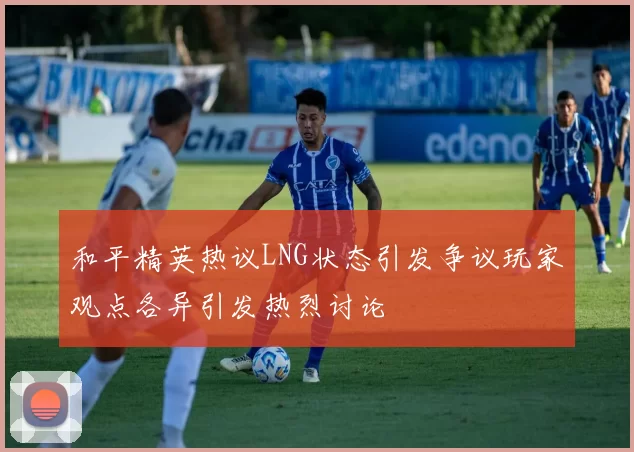 和平精英热议LNG状态引发争议玩家观点各异引发热烈讨论