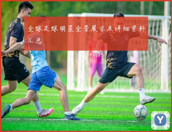全球足球明星全景展示及详细资料汇总