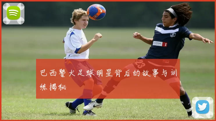 巴西警犬足球明星背后的故事与训练揭秘