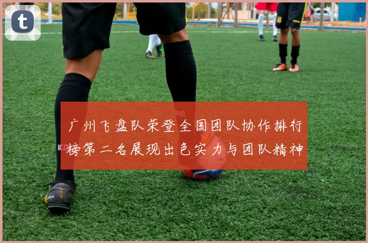 广州飞盘队荣登全国团队协作排行榜第二名展现出色实力与团队精神