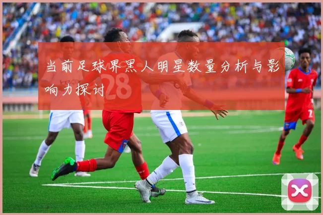 当前足球界黑人明星数量分析与影响力探讨