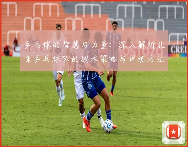 乒乓球的智慧与力量：深入解析北京乒乓球队的战术策略与训练方法