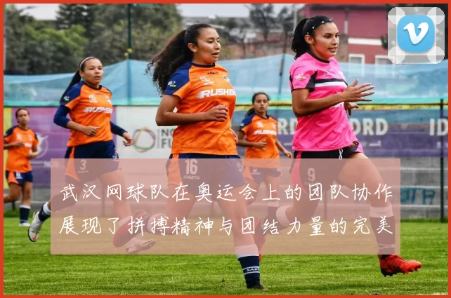 武汉网球队在奥运会上的团队协作展现了拼搏精神与团结力量的完美结合