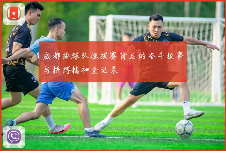 成都排球队选拔赛背后的奋斗故事与拼搏精神全记录