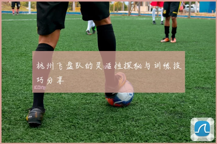 杭州飞盘队的灵活性探秘与训练技巧分享