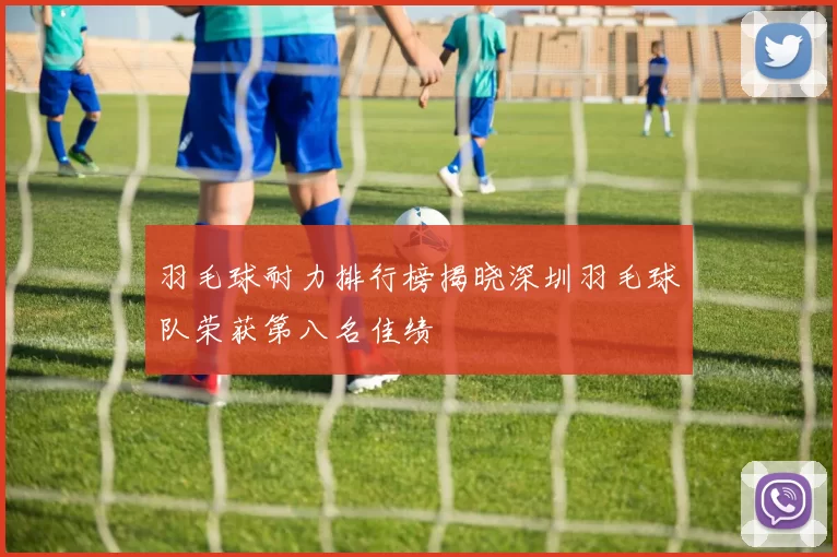 羽毛球耐力排行榜揭晓深圳羽毛球队荣获第八名佳绩